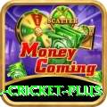 all cricket - Gaming Pro