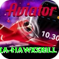antigua hawksbill Pro1 v4.5.4