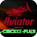 bbl cricket Extreme APK v1.1.6