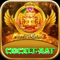 cricket bat Premium Edition v3.6.0