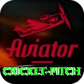 cricket pitch Gold Edition v2.5.2