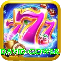 david gower Ultimate Pro v1.8.7