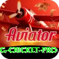 eng cricket Casino Official v1.5.6