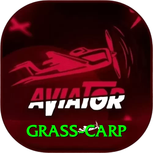 grass carp VIP v1.1.5 - 2