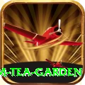 hile ilam tea garden Games (Casino & Earning) Premium v1.9.2