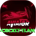 hong kong cricket team Pro v3.0.0