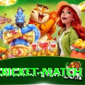 india cricket match Apps (Tools & Injectors) Pro v1.0.1