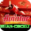 india pakistan cricket Plus v1.2.1