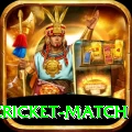 india pakistan cricket match Pro v3.5.7