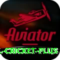 international cricket - Slots Royal