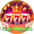 most test wickets Deluxe Edition v2.6.9