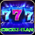 mumbai cricket team Premium Plus v1.0.9