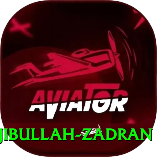 najibullah zadran VIP Edition v4.9.4 - 2