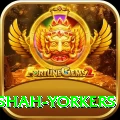 naseem shah yorkers Apps (Tools & Injectors) Max v3.2.4