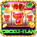 new zealand cricket team Apps (Tools & Injectors) Pro v5.4.5