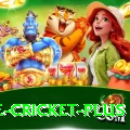 one cricket Pakistan Max v1.0.1