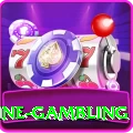 online gambling Premium Plus v4.1.5