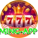 pakbet88 King Gaming App