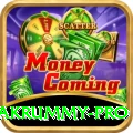 pakrummy Prime - Free Download