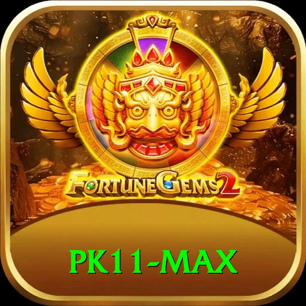 pk11 Pro Pakistan - 2