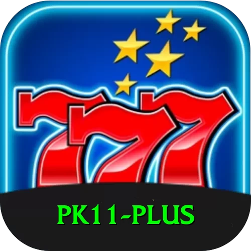 pk11 VIP Pro v3.5.6 - 2