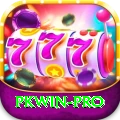 pkwin Plus Pro v4.0.9