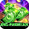 responsible gambling pakistan Max Pro v1.5.8