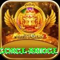 seti gorge bridge Pro1 v4.5.9
