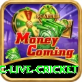 smartcric live cricket Plus v4.5.3