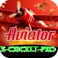 sports cricket Deluxe 2024