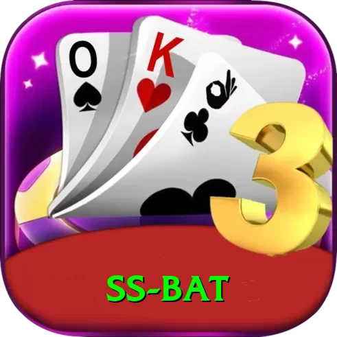 ss bat VIP Edition v2.4.1 - 2