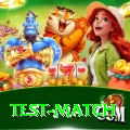 test match Deluxe Edition v2.0.3
