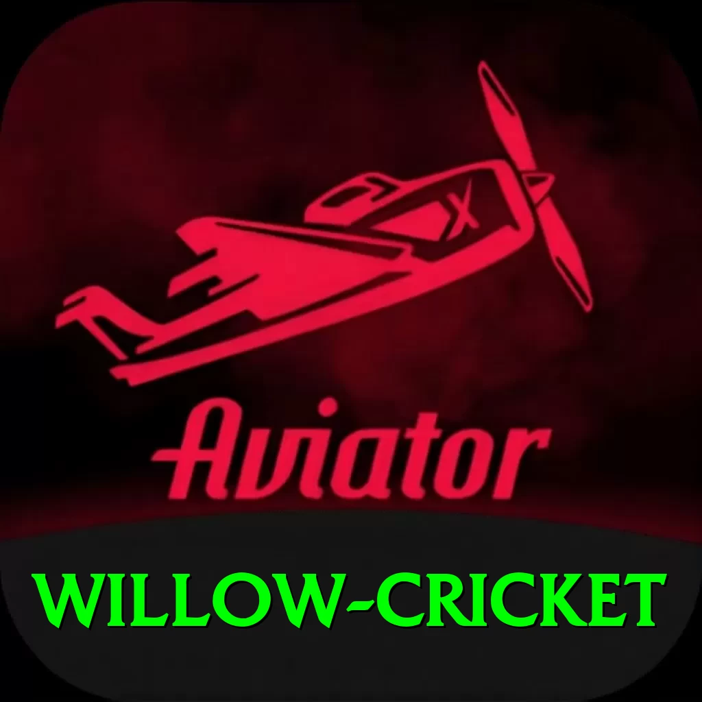 willow cricket Pro1 v1.4.7 - 2