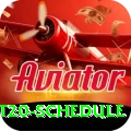 world t20 schedule Premium v2.2.1