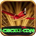 www cricket com Premium Edition v1.3.6